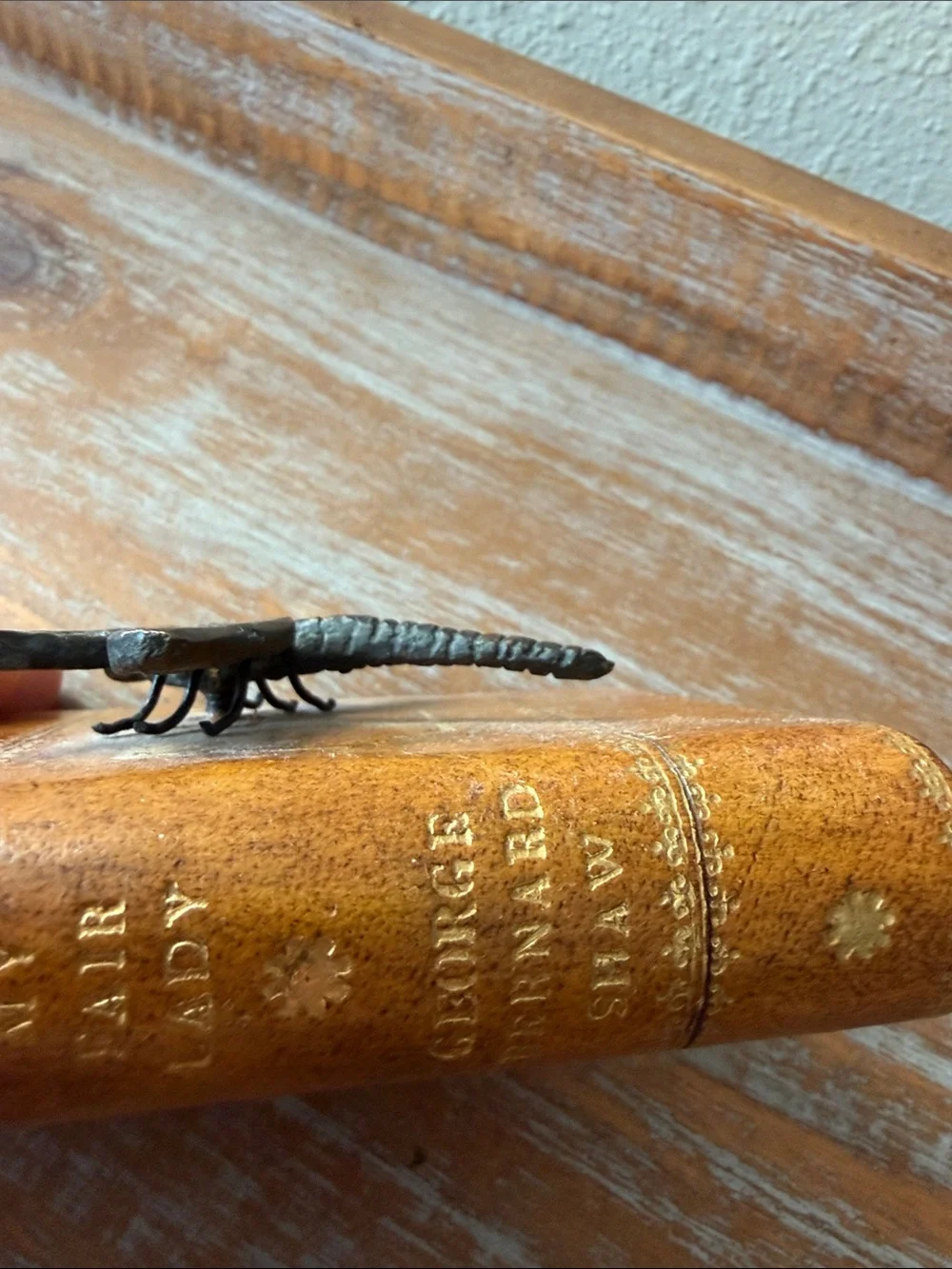 N/A stylish brown